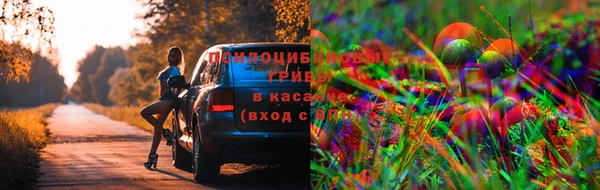 mdpv Алексин